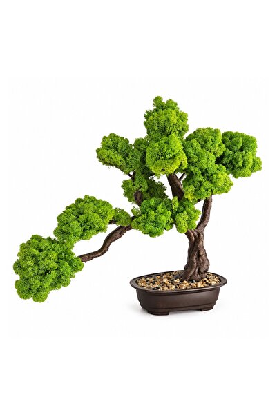 Ellis Garden Bonsai decorativ cu licheni stabilizați H43 cm