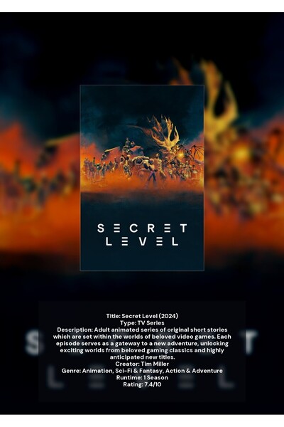 OEM Poster Infografic Nivel Secret, Joc Video, Carton 250g, A4