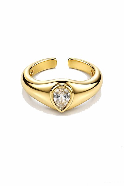 New Obsessions Drop Steel Ring