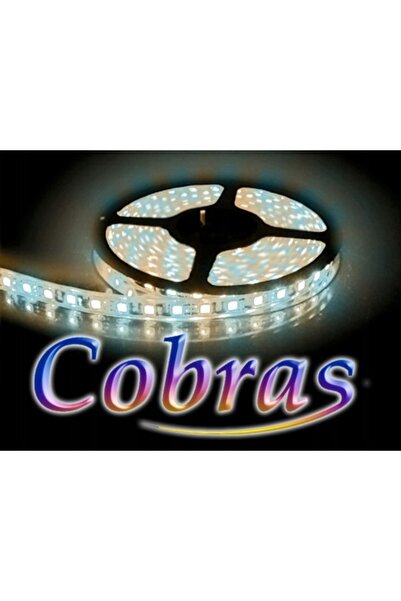 Bowi COBRAS 3528 bandă LED alb rece alb cald 600 24V