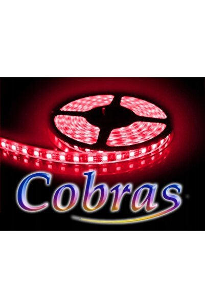 Bowi COBRAS 3528 bandă LED roșie 5m/300 diode