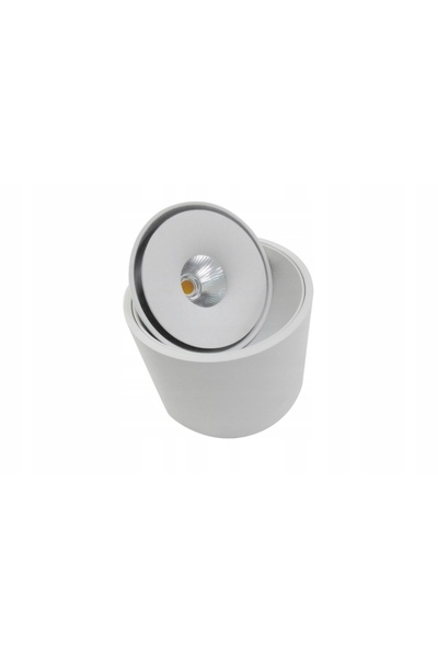 AZzardo Spot LED aplicat pe suprafață 10W BOSTON TUBE AZ3469
