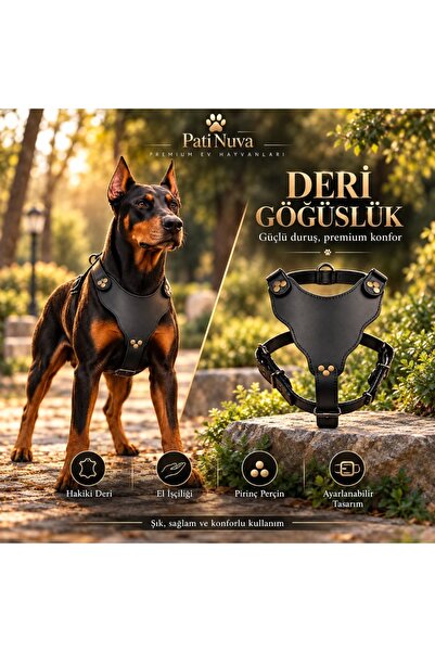Premium Hakiki Deri Köpek Göğüs Tasması Siyah L-XL