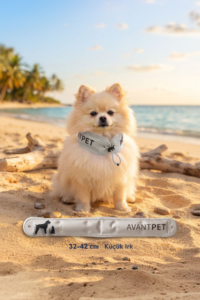 AvantPet Cool Band –Köpekleriniz İçin Serinletici Boyunluk - S
