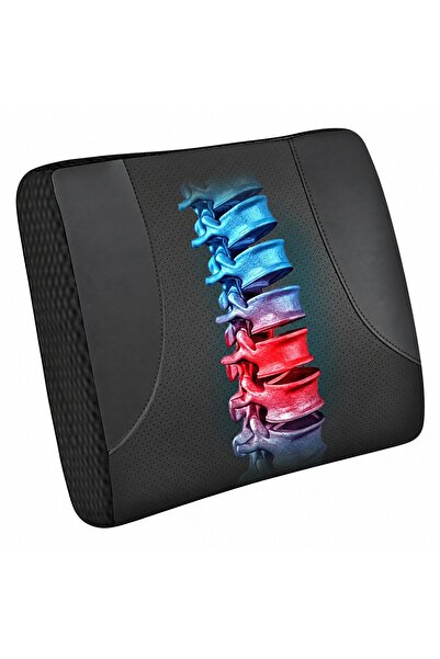 OEM Pernă de suport lombar Allaboutsla, pentru scaun auto, negru