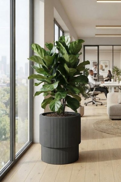TEMMUZ HOME Vega İç Hazneli 27 Lt Geniş Hacimli Çift Katmanlı Saksı - 16L Pra...