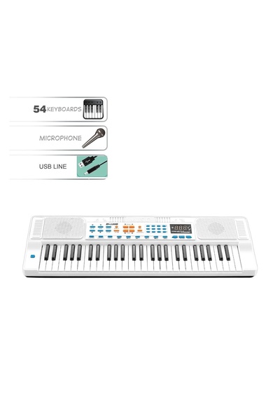 OEM Orgă Electronică 54 Clape cu Ecran LED și Microfon, 200 Tonuri și 200 Rit...