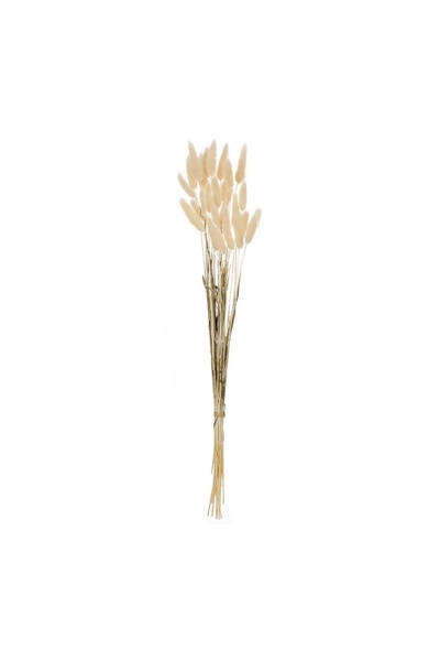 OEM Ramuri Decorative de Coada Iepurelui Bunny Tails Crem 60 cm – Decor Reali...