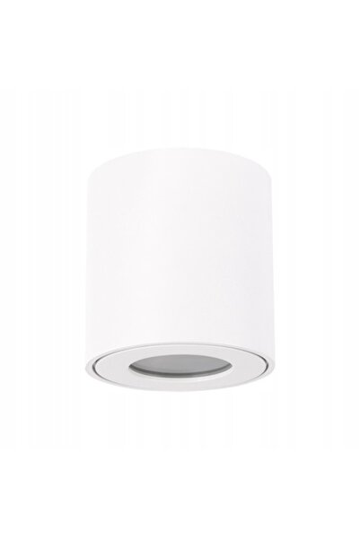 IDEUS Plafon exterior de grădină IP54 STRUHM ZORBA DWL 03954 Alb