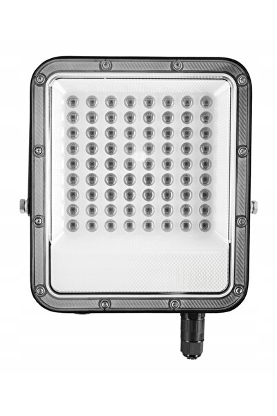 NO BRAND Proiector de grădină exterior RGB + 6500K LED 50W IP65 + telecomandă