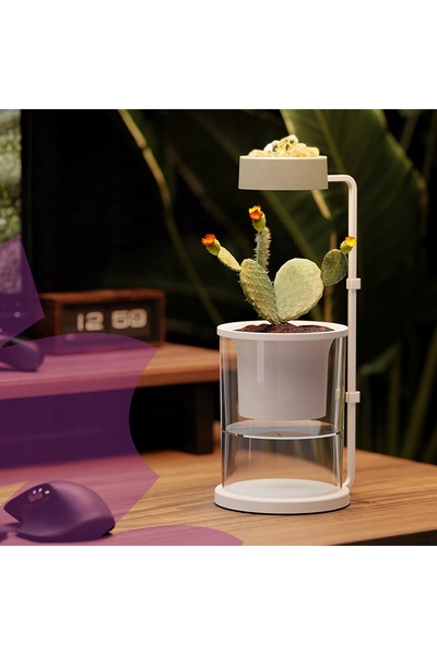 Spacetronik Lampă LED de creștere a plantelor de 8W, AROMATERAPIE, pentru ghi...