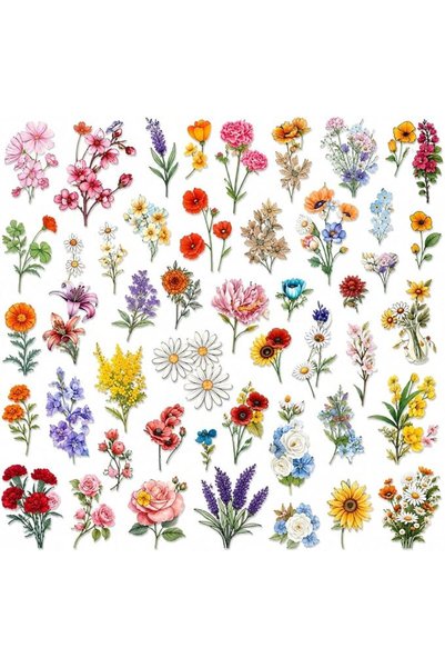 Mamlakat Al Oud 62 Pcs Watercolor Flower Wall Decals | Peel & Stick Floral Vi...