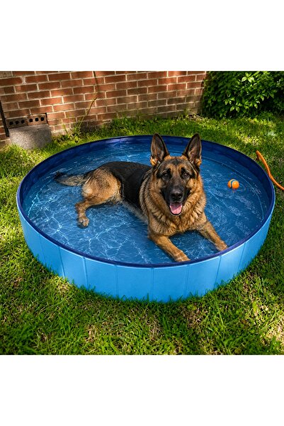 Nuxie PISCINĂ PENTRU CÂINI ȘI ANIMALE DE COMPANIE, CU PERETE PERFORAT, DE GRĂ...