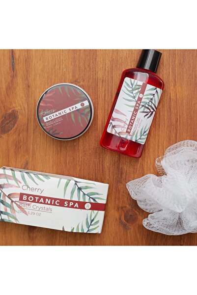 ACCENTRA Set cadou Olive Spa pentru baie, coș cu 5 articole