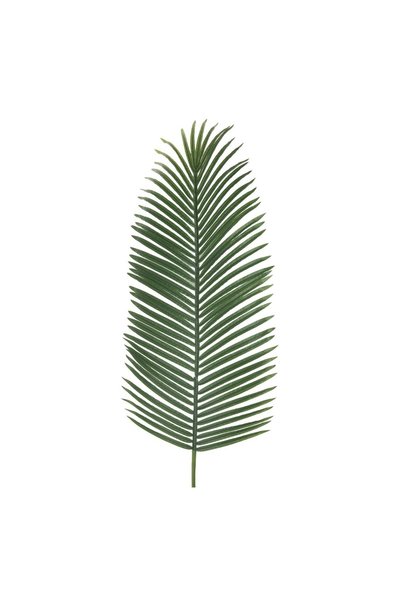 OEM Ramură Artificială de Palmier 113 cm – Decor Realist pentru Casă și Eveni...