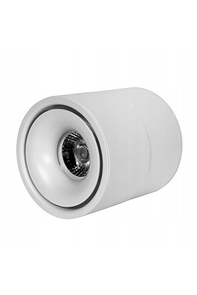 NO BRAND Plafonieră albă aplicată, cu LED reglabil, 12W 4000K, pentru birou.