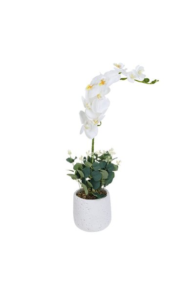 OEM Ghiveci Decorativ Alb Ceramic cu Floare Artificială Orhidee Albă Ø13x54 c...
