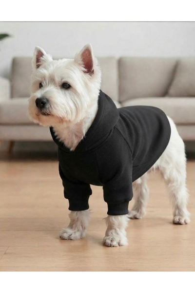 atelyu Cat Dog Clothes Sweatshirt
