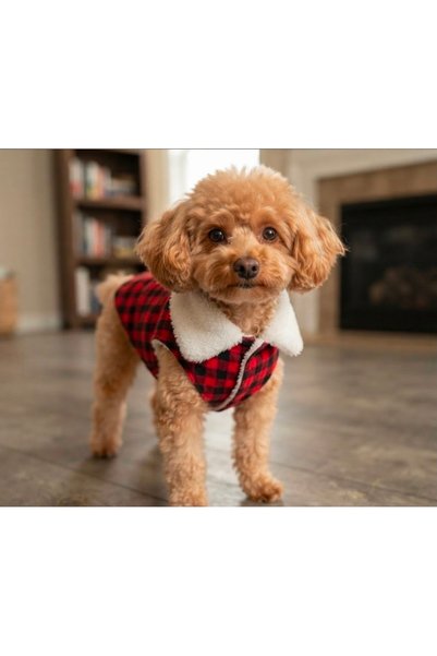 atelyu Cat Dog Clothes Vest Coat