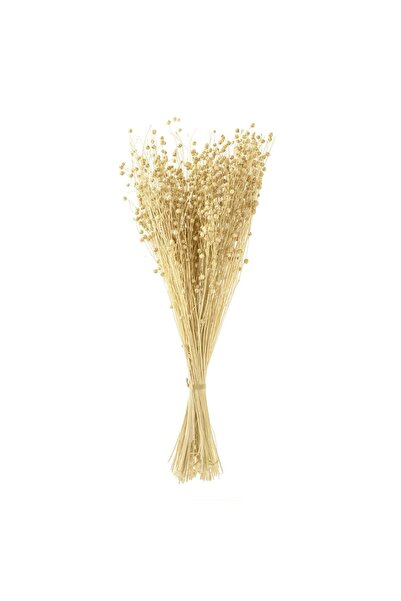 OEM Buchet Decorativ cu Plante Seminte Crem 50cm