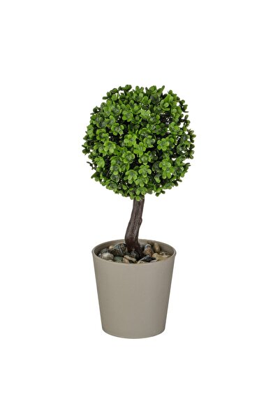 OEM Ghiveci Decorativ Taupe cu Planta Bonsai 18cm