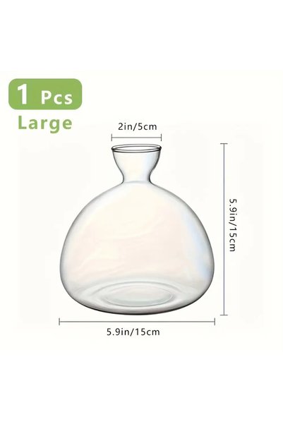 Choice1 large Avocado Vase Grow Glass Bulb Vases Acorn Seed Starter Vase Avoc...
