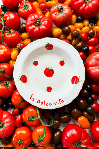 Rakle x Bengi Kurtcebe Pomodoro Stoneware 4'lü Yemek Tabağı Seti 23 cm