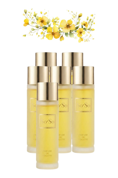 trı 6 قطع So So Perfume 100 مل