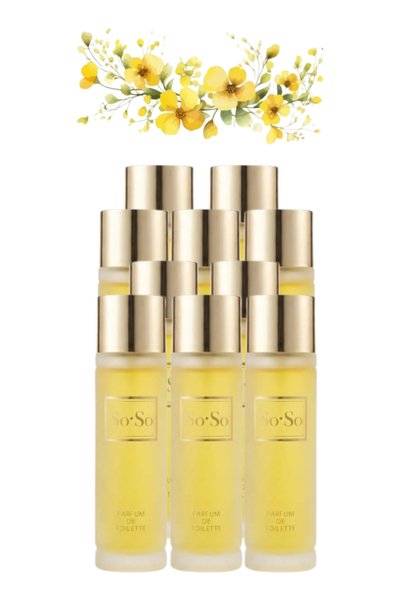 trı 10 قطع So So Perfume 100 مل