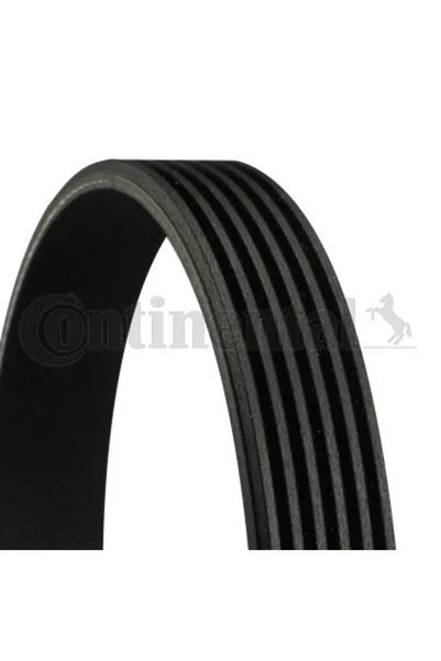 CONTITECH Kanalli Kayış P206-PARTNER - Berl 2002-2006 SCUDO 1998-2006 19D - Audi Ford Volvo 68419