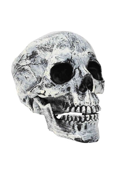 vidaxl Craniu de Halloween SPOOKA 2 bucăți Alb 12 x 15 x 17.5 cm Plastic