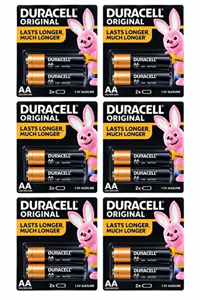 DLC Duracell Plus Power AA Alkaline Battery Pack - 12 Pieces, 9.0 Volts