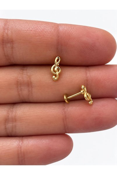Arescollection 1 ADET ÇELİK SOL ANAHTARI MÜZİK NOTASI TRAGUS HELİX LOBE UYUML...