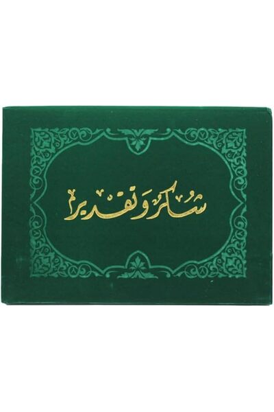 FWM غلاف وثائق وشهادات، حجم A4، حافظة واقية للدبلومات والجوائز (مخملية، خضراء)