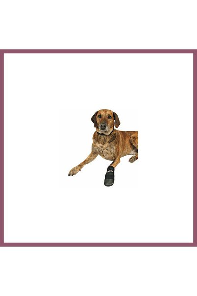Bezos Neopren Köpek Patiği 2 Adet Siyah XXXL IND0320