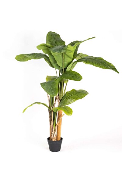 SUPERGREENS Τεχνητό Δέντρο Μπανάνας 100 x 160 εκ., Πράσινο Φυτό Εσωτερικού Χώρου