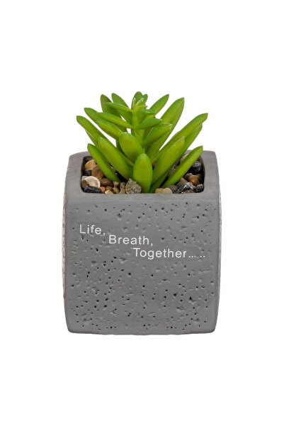 OEM Ghiveci decorativ din ciment cu plantă artificială și pietricele, 6x6x9 cm