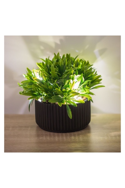 OEM Ghiveci Decroativ cu Planta Verde și Luminite LED cu Baterii Ø16x15 cm