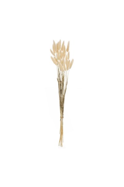 OEM Ramuri Decorative de Coada Iepurelui Bunny Tails Crem 60 cm – Decor Reali...