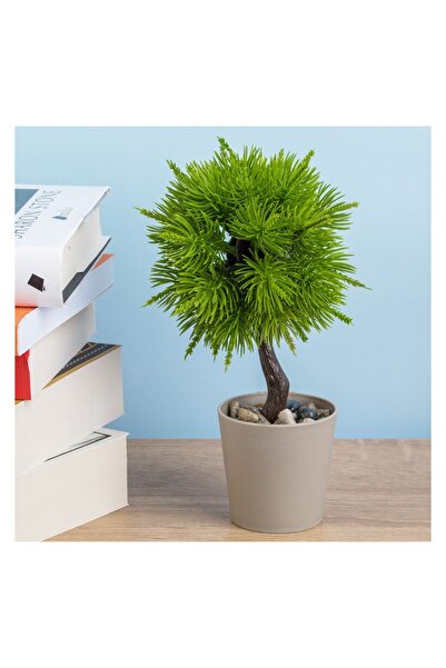 OEM Ghiveci Decorativ Taupe cu Planta Artificială Bonsai Ø6x19 cm
