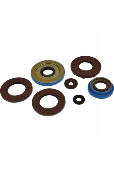 NO BRAND PENTRU POLARIS SPORTSMAN 325 ETX EFI 15, RANGER KIT GARNITURI MOTOR