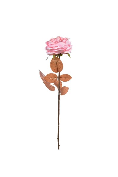 DD SHOP Floare de Craciun Trandafir Roz cu Tulpina Lunga Glitter Auriu 60cm