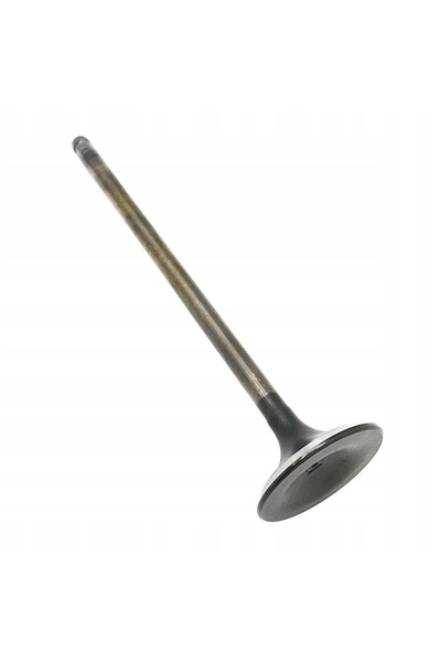 Polaris SUPAPĂ DE ASPIRAȚIE 30 MM OEM 3022099