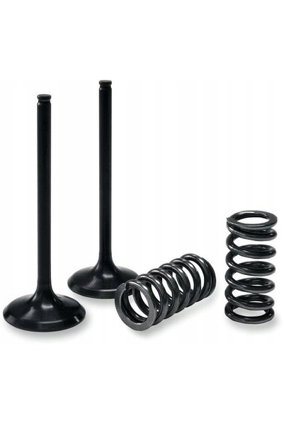 NO BRAND KIT SUPAPE DE ADMISIE ȘI ARCE - SUZUKI LT-R 450 2X4 (2006-2011)
