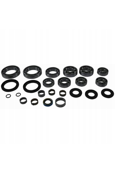 All-Balls KIT DE REPARAȚIE DIFERENȚIAL SPATE POLARIS SPORTSMAN 500 00'