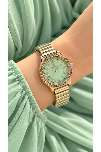 Reward Roma Numerals Green Dial-Small Case-Yellow Color Steel Strap Women's Wristwatch-In Stylish Box