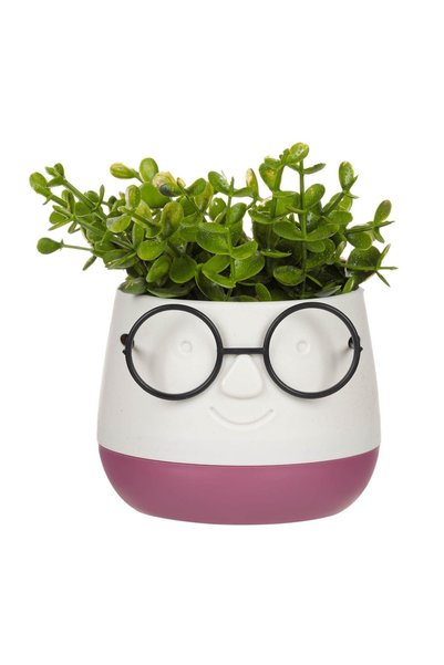 OEM Ghiveci Decorativ Fata Ecru Bordo cu Ochelari Negri și Planta Artificială...