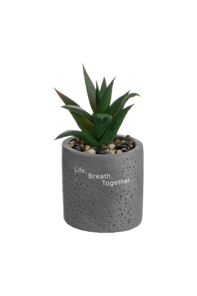 OEM Ghiveci decorativ din ciment cu plantă artificială și pietriș, Ø6x12 cm