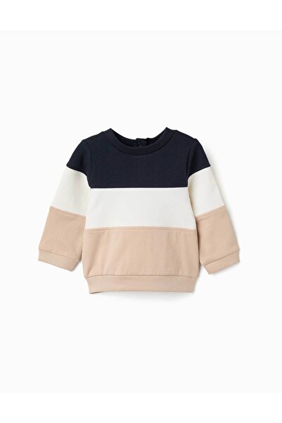 Ziddy Brushed Sweatshirt With Colour Block For Newborn Boys, Blue/White/Beige