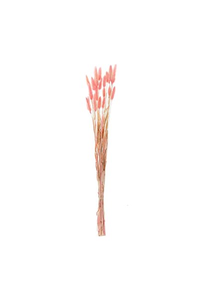 OEM Ramuri Decorative Coada Iepurelui Bunny Tails Roz 60 cm – Decor Realist p...